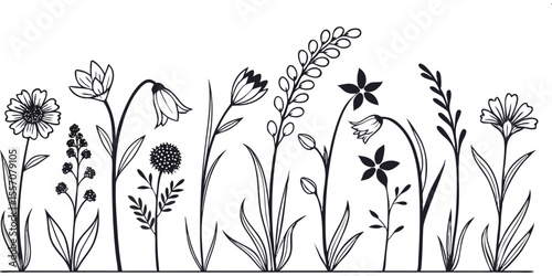 Floral Flourish: A graceful collection of detailed botanical illustrations presents various wildflowers, showcasing delicate line art with exquisite precision