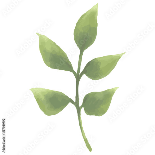 水彩風の緑の葉を描いたシンプルな植物のベクターイラスト素材｜葉,植物,枝,水彩,自然,グリーン