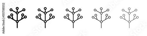 Phylogenetic tree icon vector outline symbol or illustration