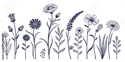 Floral Serenity: An elegant illustration of various wildflowers with intricate line art, a perfect symbol of nature's delicate beauty, showcasing the diversity and charm of blooms.
