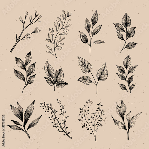 Ideal for eco-friendly branding and designs.