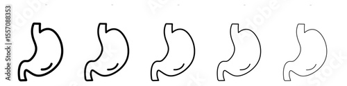 Stomach icon vector outline symbol or illustration