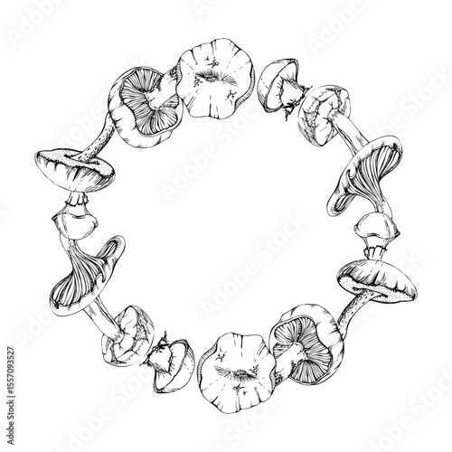 Bolete cep russula suillus mushroom fungi. Wreath frame hand drawn in vector ink. Autumn forest harvest, edible raw ingredient for vegan cooking. Label, tag design, menu recipe, scavenger hunt cards