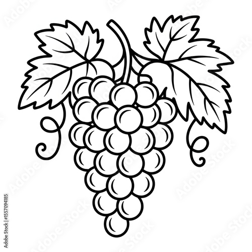 bunch of grapes vector