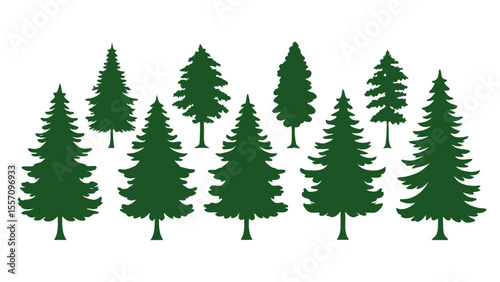 A row of evergreen tree silhouettes in various sizes