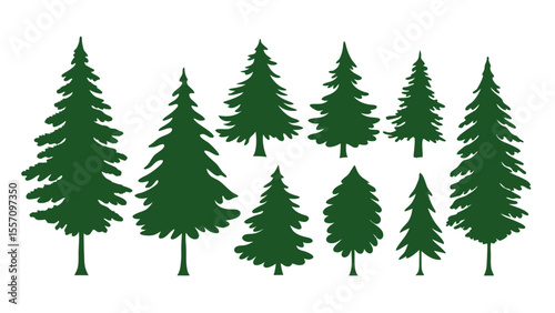 A row of evergreen tree silhouettes in various sizes
