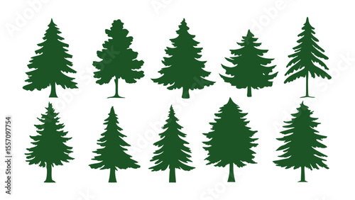 A row of evergreen tree silhouettes in various sizes