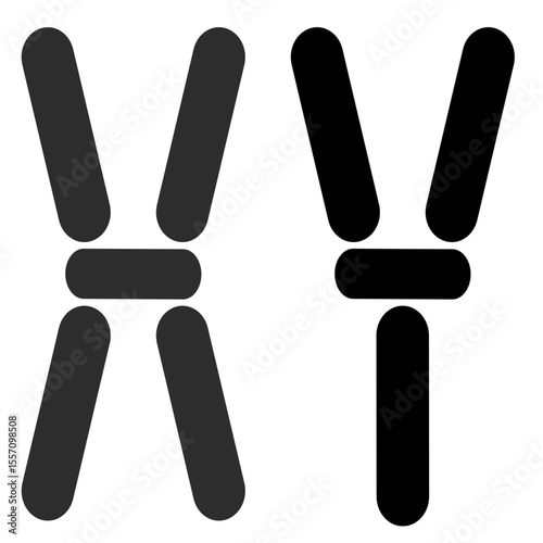 The x and y chromosome icon are shown in a simple design determining gender in humans in the field of genetics, biology, especially in the context of fetal health.