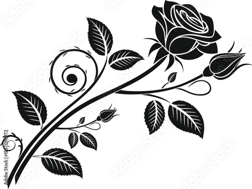 Rose CDR drawing, black petaled flower, and customized car sticker