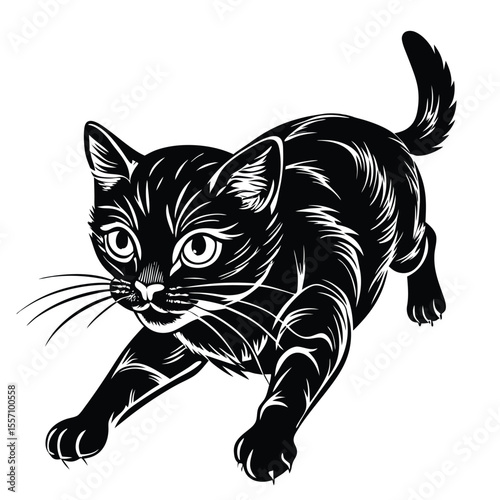 Black cat poised for action feline animal