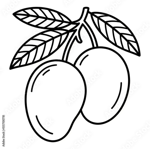 vector illustration of ripe mango