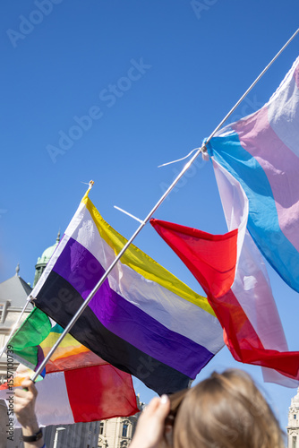 Rainbow pride flags waving against clear sky