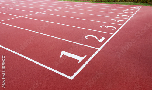The numbers on the starting line