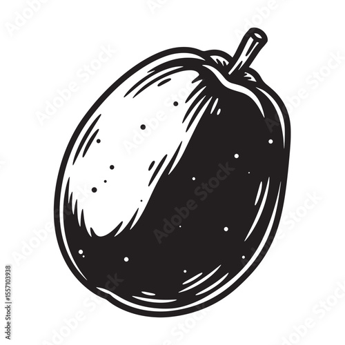 Hand drawn black and white illustration of a papaya fruit with stem on a white background