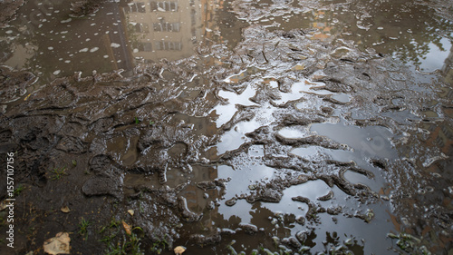 Water pools on a muddy surface, creating a mix of reflections and bubbles. Urban buildings can be seen mirrored in the water, indicating recent rain. The atmosphere feels damp and overcast