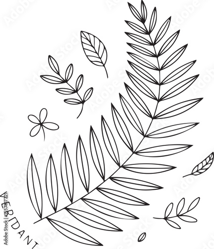 Botanical Line Art Composition Featuring Ferns, Leaves, and a Delicate Floral Accent with the Word Veridant at the Bottom