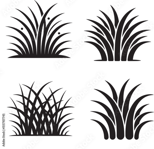 Four Stylized Illustrations of Grass Tufts A Study in Black and White Botanical Graphics