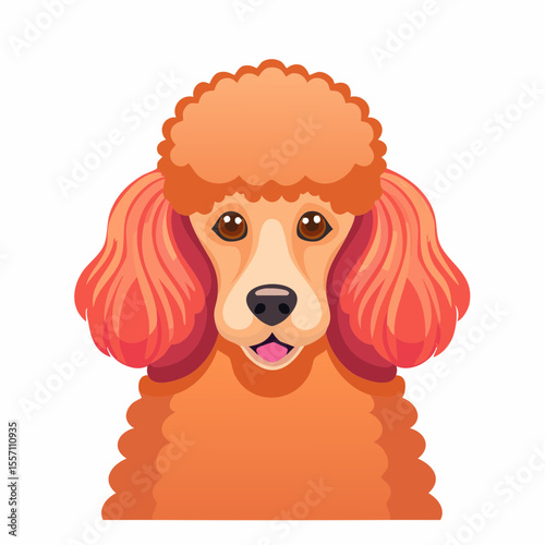 Sweet apricot poodle head graphic element featuring curly ears, perfect for pet-related products, labels, or designs requiring a charming canine touch.