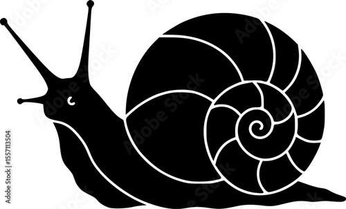 sea snail line art silhouette vector illustration
