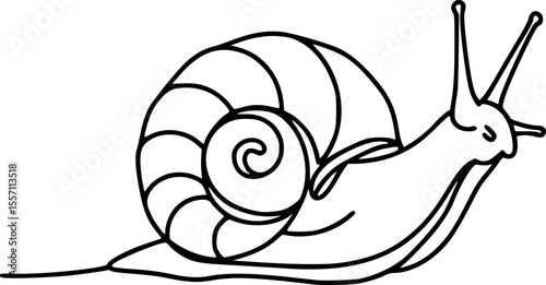 sea snail line art silhouette vector illustration
