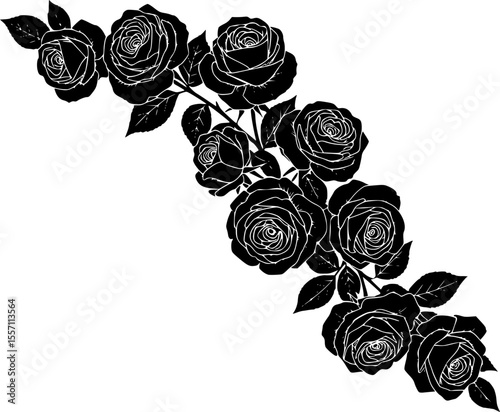 delicate floral corner element featuring roses line art silhouette vector illustration

