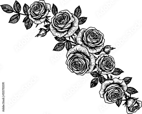 delicate floral corner element featuring roses line art silhouette vector illustration
