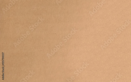 Kraft paper texture photo. Vector illustration.