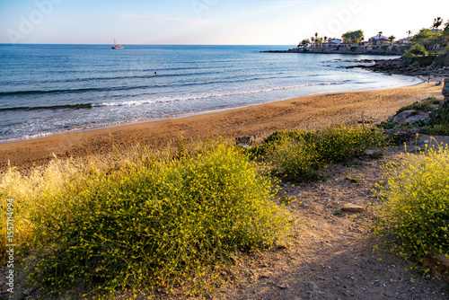 Fototapeta Naklejka Na Ścianę i Meble -  Spring evening on the coast near Side. Yellow hirschfeldia flowers frame a surf beach with sailboat on horizon, old town peninsula in golden light. Mediterranean, Turkey.

