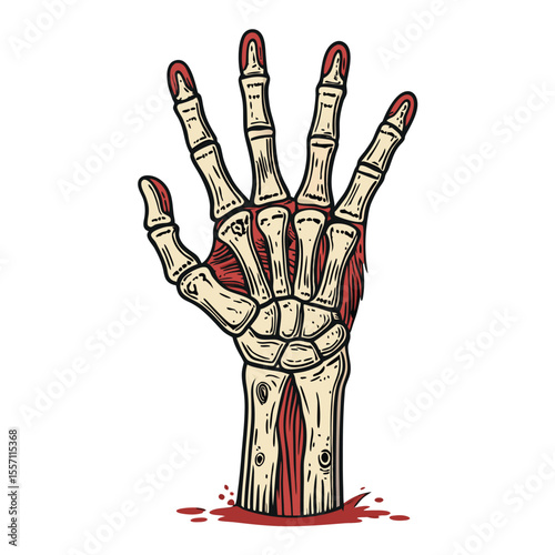 Severed hand depiction, bone exposed, sharp claws, dark, unsettling, gruesome, fleshy. Graphic detail requested.