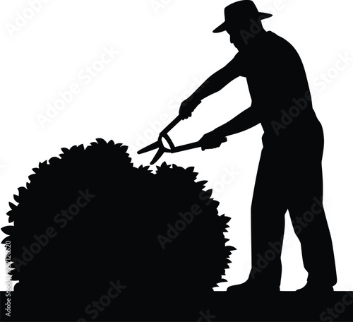 Silhouette of Gardener Trimming Bush with Shears, Horticulture and Gardening Concept
