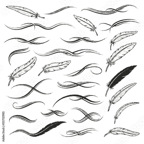 Collection of sketched feathers and decorative swirl lines in a graphic design layout.