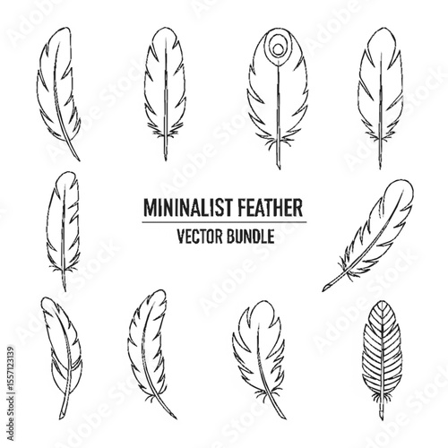 A collection of minimalist feather illustrations, showcasing various shapes and styles.