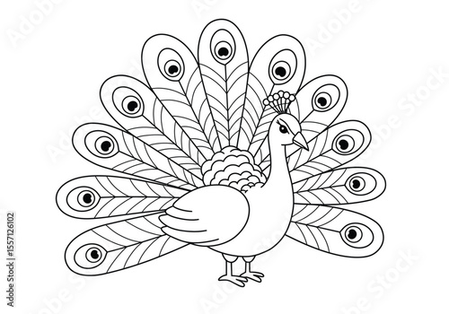 Cartoon peacock drawing. It is a black and white outline image of a stylized peacock with a fanned tail, showcasing its iconic eye-spotted feathers. Vector sketch line art draw.