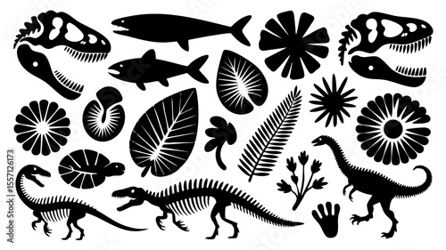 Black silhouette of dinosaurs, fish, plants and fossils vector illustration for paleontology design art