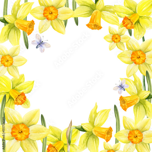 yellow flowers with flying butterflies, square frame with hand drawn watercolor daffodils, narcissus, spring Easter illustration of jonquils bouquet, green leaves, party, kitchen decoration