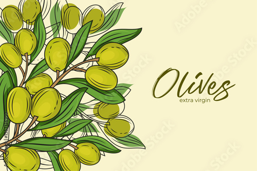 Vector illustration of olive branches with green olives and leaves on a light background. The text "Olives" and "extra virgin" is written in a stylish way, making it ideal for food packaging, labels o