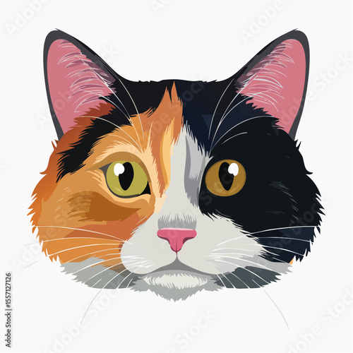 A cute calico cat face graphic displaying detailed fur patterns, perfect for pet lovers and feline themed designs, suitable for various creative projects.