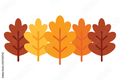 Cartoon Illustration of Five Colorful Autumn Oak Leaves Arranged in a Row on White Background