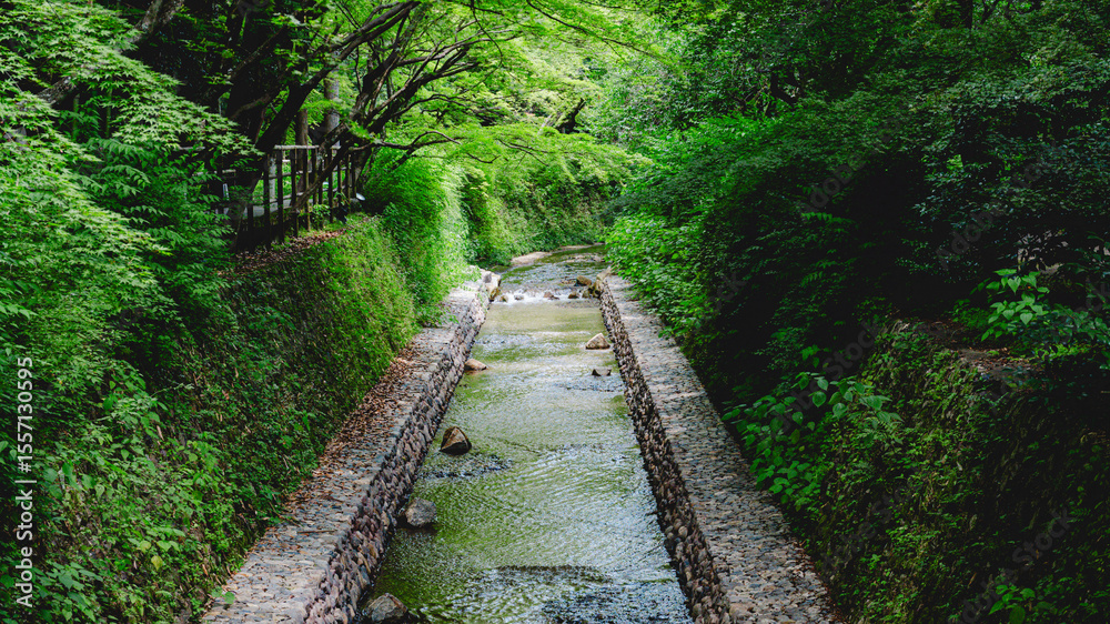 Obraz premium 小川