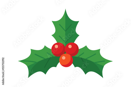 Christmas Holly Sprig Green Leaves and Red Berries Illustration on White Background