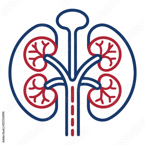 Single line art icon urinary system. Kidney, ureter, bladder, urethra. Minimalist anatomical symbol.