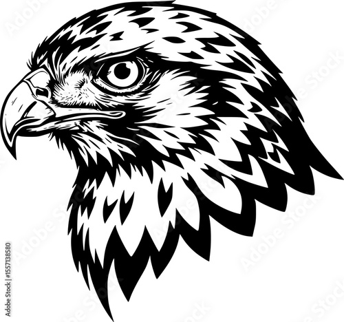 hawk head line art silhouette vector illustration
