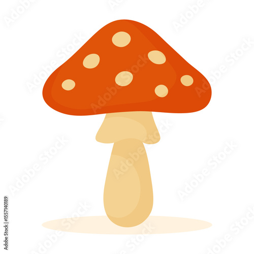 Cute fly agaric mushroom illustration. Red toadstool clipart. Hand drawn forest fungus