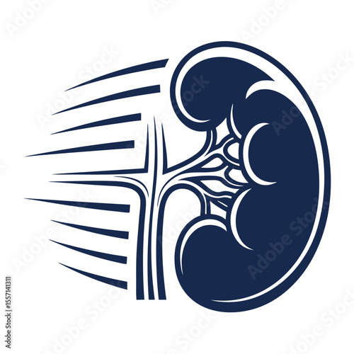 Kidney silhouette, dynamic motion, clean curves, isometric view, stylized, anatomical representation, modern.
