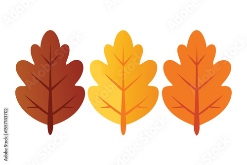 Three Simple Autumn Leaves in Brown, Yellow, and Orange Gradients on White