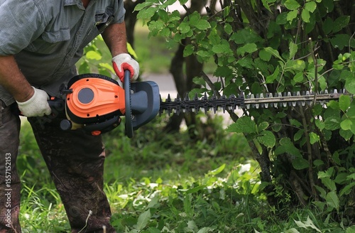 a gardener uses a saw to level a hedge in a landscape design