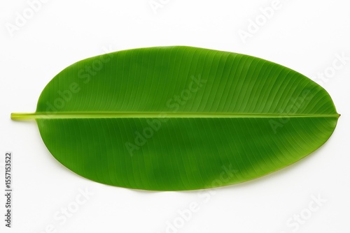 Fresh green banana leaf isolated on white background — widely used in South India for festive meals like Vishu and Onam Sadhya. Ideal for food branding, cultural visuals, and packaging design