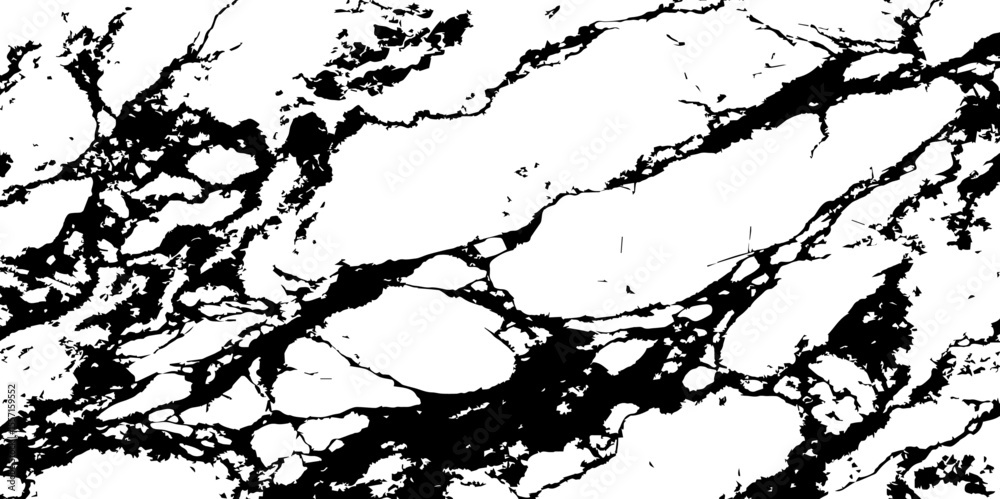 Fototapeta premium Generate a high-resolution, realistic image of a white marble slab with intricate black veining. Focus on capturing the natural flow and organic patterns of the veins.