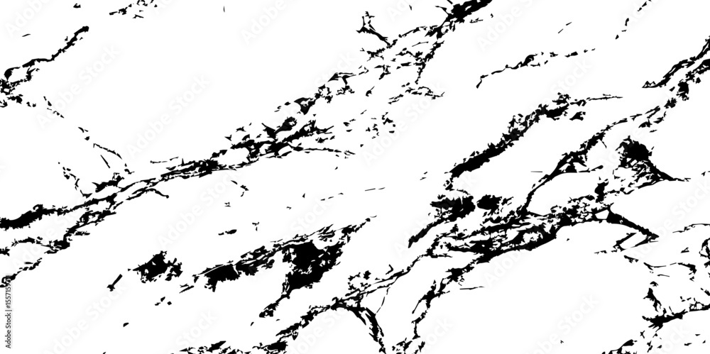 Fototapeta premium Generate a high-resolution, realistic image of a white marble slab with intricate black veining. Focus on capturing the natural flow and organic patterns of the veins.