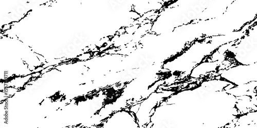 Generate a high-resolution, realistic image of a white marble slab with intricate black veining. Focus on capturing the natural flow and organic patterns of the veins.